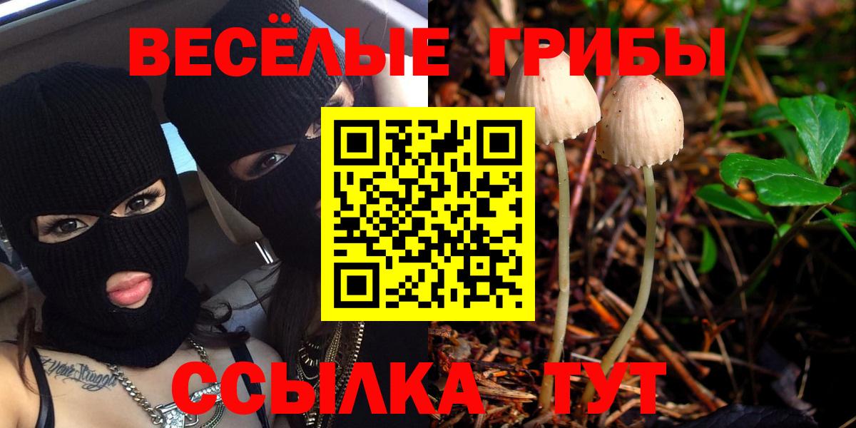 Псилоцибиновые грибы Magic Shrooms  Вход с VPN  Россошь 